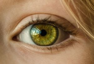 Schools eye facial recognition technology to boost security