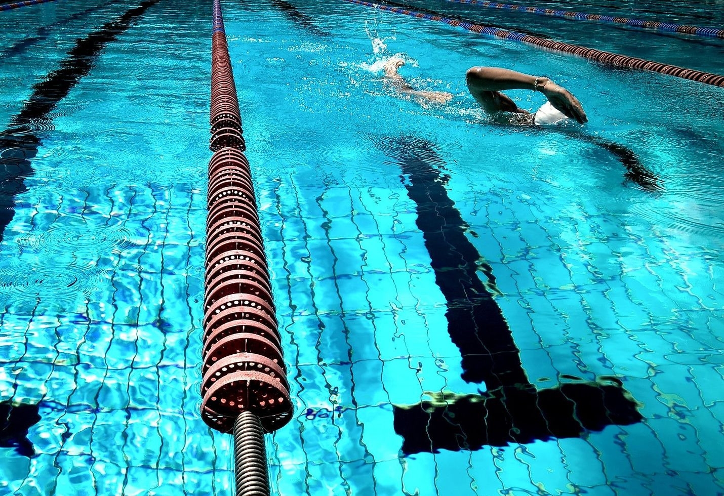 Chloe McCardel: Swimmer beats men's Channel record and quarantine