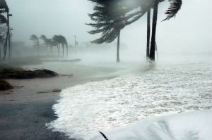 Storm Michael: Monster storm mauls US south-east